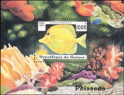 Guinea 1997 Fish/Marine/Nature/Wildlife/Yellow Tang/Coral/Reef 1v M/s (b5255) • £3.75