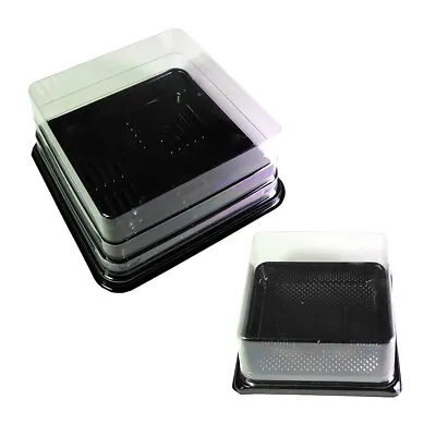 50x Clear Square Disposable Container Lid Black Base For Mini Cakes Dessert Sush • £7.99