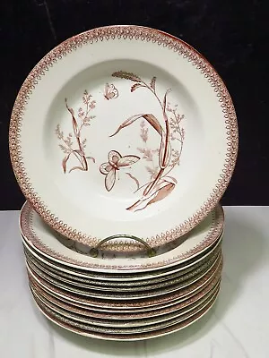 12 T & R Boote Brown Transferware Summer Time Rimmed Soup Bowls Butterfly • $134.40