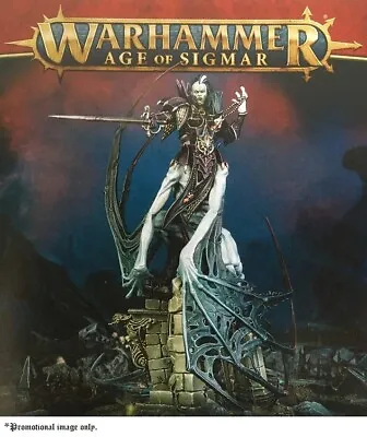 Warhammer Age Of Sigmar - Soulblight Gravelords Vengorian Lord / Lauka Vai. New. • $82