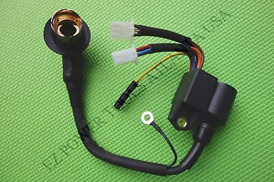 1600 1700 2000 2300 Watt Inverter Generator Ignition Coil Module 97501.TD403-4 • £72.38