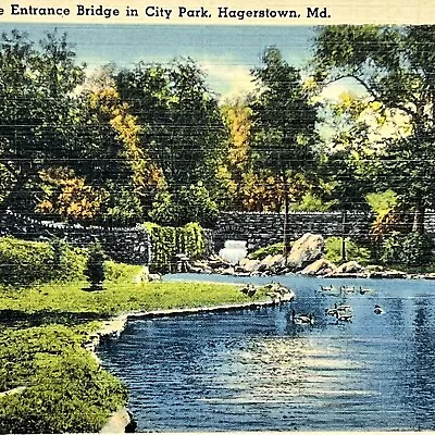 Vintage Hagerstown MD Linen Postcard City Park Maryland Unposted • $3.85