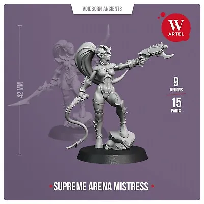 Supreme Arena Mistress Artel W Drukhari Wyches Kabalite Lelith Hesperax Witches • $26.99