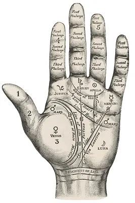 Unusual Vintage Style Palmistry Chart Painting Print Wall Art - POSTER 20 X30  • $23.99