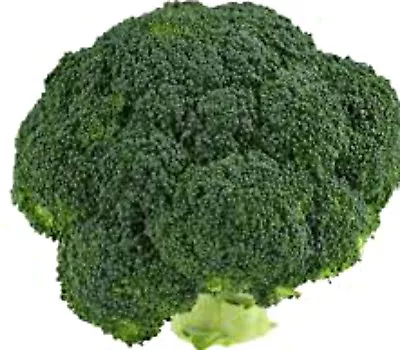 Broccoli Seeds  Italian Green  100 Seeds Vegetable Heirloom Variety Good Heads  • $3.10