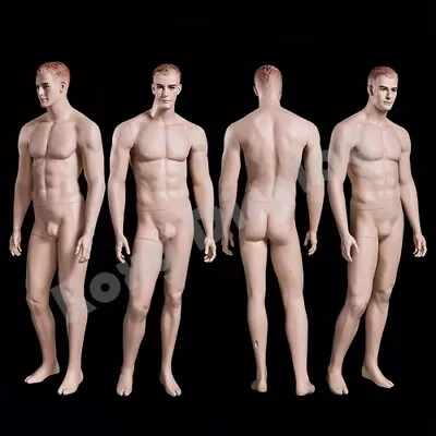 Realistic Male Mannequin With Molded Hair #MZ-WEN5 • $299