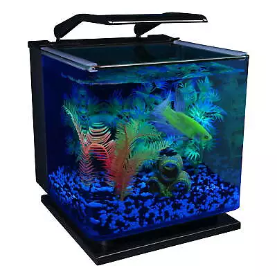 Betta Glass Aquarium Kit 3 Gallons Includes LED Lighting And Filters • $63.95