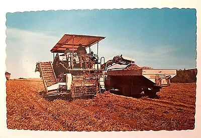 $0.99 • Buy Potato Harvester At Aroostook County Maine Postcard