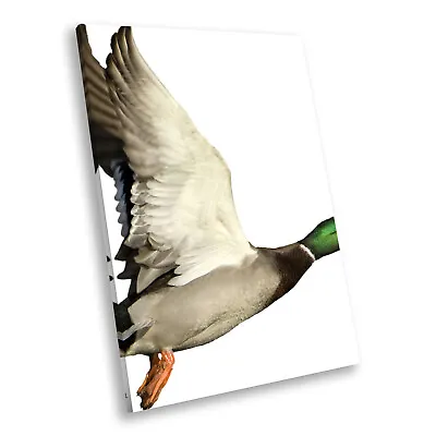 £54.99 • Buy Green Grey Duck Fly Orange Portrait Animal Canvas Framed Art Picture