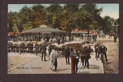 Essex-chelmsford-the Cattle Market-1915. • £4.99