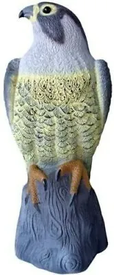 16  Falcon Decoy Pest Deterrent Bird Cat Scarer Garden Lawn Pond Decorative Hawk • £12.89