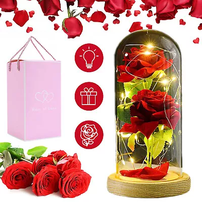 LED Eternal Rose Flower Lamp Forever Rose In Glass Dome Red Enchanted Rose Gift • $16.90