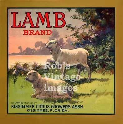  Kissimmee Florida Lamb Sheep Orange Citrus Fruit Crate Label Vintage Art Print • $9.97