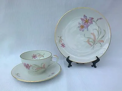Vintage Bavarian Pink Floral Porcelain Trio  Cup & Saucer & Plate • £5