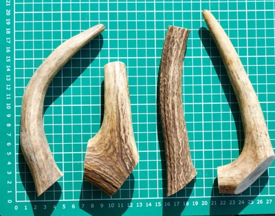 £19.95 • Buy 4 X Deer Antler Dog Chews Quite Large 392grm Healthy And Long Lasting -  Natural