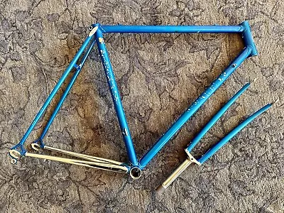 Vintage PINARELLO TREVISO Columbus SL Frame Set 55cm Steel Road Bike Campagnolo • $305