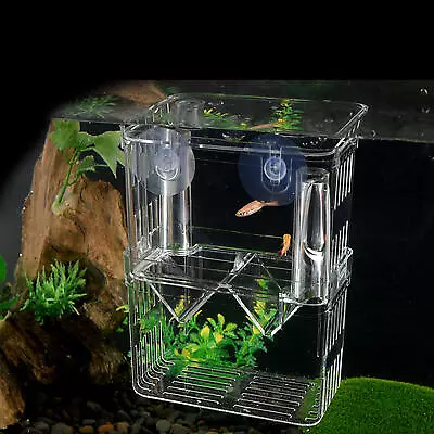 Aquarium Hatchery Trap Fish Breeding Box Tank Fry Breeder Isolation Case New • $11.29