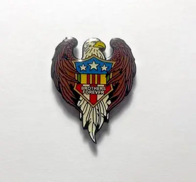 Vietnam Veteran Eagle Brothers Forever Pin Army Marines Navy Air Force • $8.99