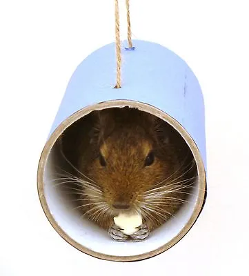 Chewchewbs (Blue) - Small Pet Toy Degu Rat Gerbil Hamster Tube. • £5