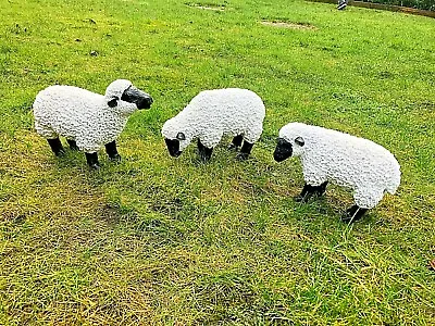 £29.95 • Buy Spring Lamb Garden Ornament Resin Laying Down Sheep Statue Farmyard Gift Garden