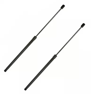 2 OEM Trunk Hatch Lift Support Shocks Struts Set For Volkswagen Beetle HATCHBACK • $57