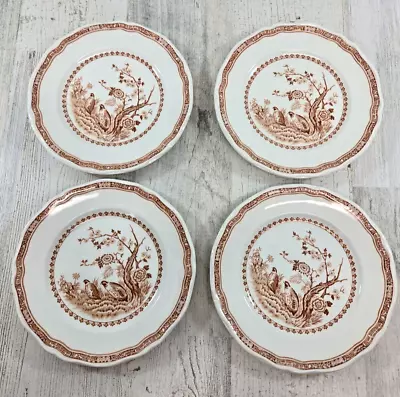 Furnivals Brown Quail 1913 4 Bread Plates Made In England • $29.99