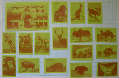 WILDLIFE BUDAPEST ZOO 17 Vintage Matchbox Labels From Hungary - Green Set - RARE • $20