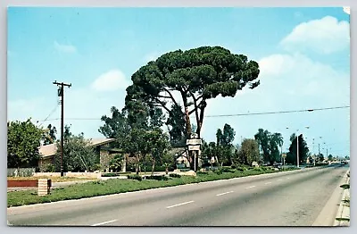 Greetings From Chino CA Postcard Pine Tree Motel Landmark Street View • $4.60