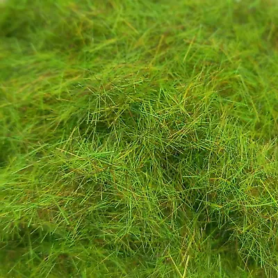 £2.28 • Buy Summer - PGS 2/4/6mm Static Grass 10-100g- Model Scenery Wargame Railway Diorama