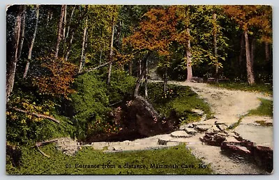 Vintage Postcard Entrance From A Distance Mammoth Cave Kentucky F10 • $3.65