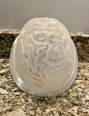 Brain Jello Mold Halloween Science • $8