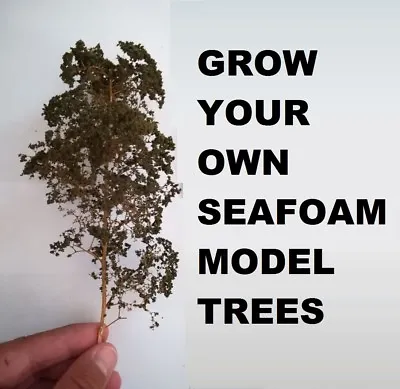 Seafoam Model Trees Grow Your Own - 250 SEEDS Approx - Aristata Teloxys Railway • £6.25
