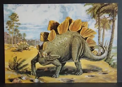 1980s J Arthur Dixon Dinosaur Postcard STEGOSAURUS David Roland Unposted #1 • £3