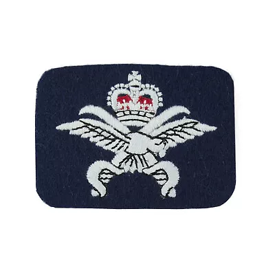 £7.09 • Buy Physical Training Instructor (PTI) Royal Air Force (RAF) Badge - Qualification