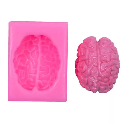 3D Brain Themed Silicone Fondant Chocolate Sugarcraft Mould DIY Clay Resin • $16.50