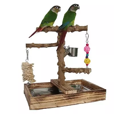 Bird Playground Cockatiel Bird Toy Parrot Playstand For Canaries Macaw Finch • $36.75