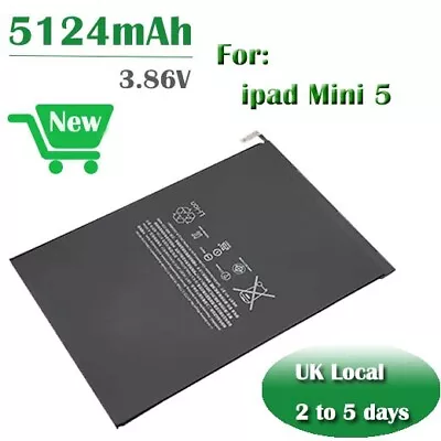 Battery Replace Apple A2114 2133 A2124 A2126 A2125 Model For Ipad Mini 5 Mini5 • £16.55