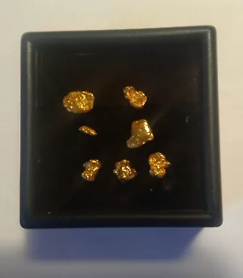 1 Gram 22k Alaska Natural Gold Nuggets In Display Box • $79