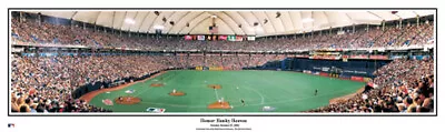 Minnesota Twins Metrodome Homer Hankey Heaven Unframed Panoramic Poster #2021 • $49.95