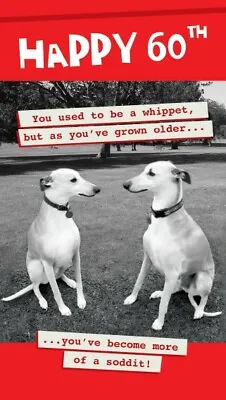 £2.99 • Buy 60th Birthday Card Used To Be A Whippet...Become More Of A Soddit!!