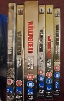 Walking Dead Seasons 1-6 (18) DVD • £9.50