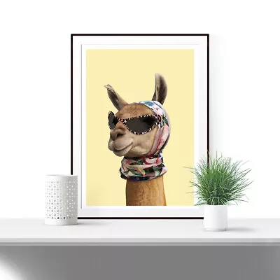£3.99 • Buy LLama Print Art Poster Fashion Home Decor Unique Simple Llama Wall Art 172