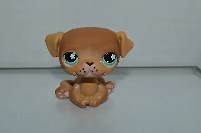 $9.99 • Buy Littlest Pet Shop~#No~Pug~Puppy Dog~Sitting~Tan Beige~Light Blue Flower Eyes