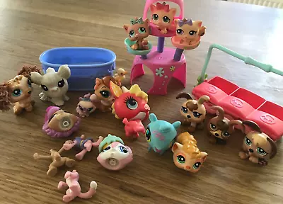 Littlest Pet Shop Bundle - Kittens Dogs Guinea Pigs Etc • £1.99