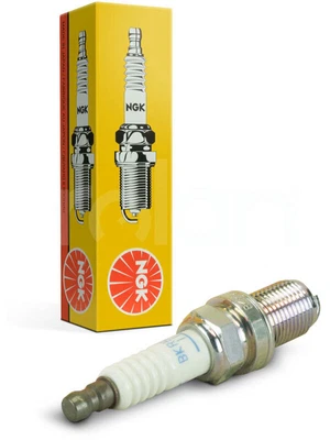 NGK Spark Plug (B9EFS) • $106.47