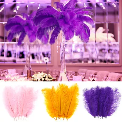 10Pcs Ostrich Feather Multi-Color Ostrich Feather Plume Decorative Pink CrClw • $18.49