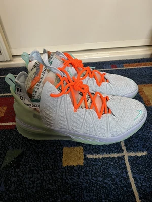 $170 • Buy Lebron 18 Size US 9.5