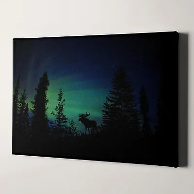 Northern Lights Aurora Borealis Moose Canvas Wall Art Print • $49