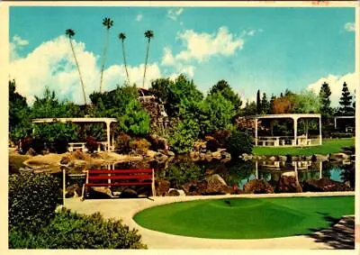 Sun City AZ Arizona RECREATION AREA Miniature Golf & Picnic Tables 4X6 Postcard • $5.04