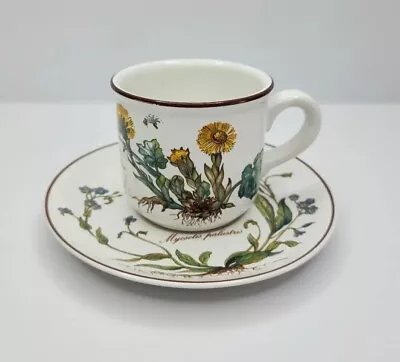 Villeroy & Boch Botanica Cup & Saucer Tussilago Farfara & Myosotis Palustris  • $24.61